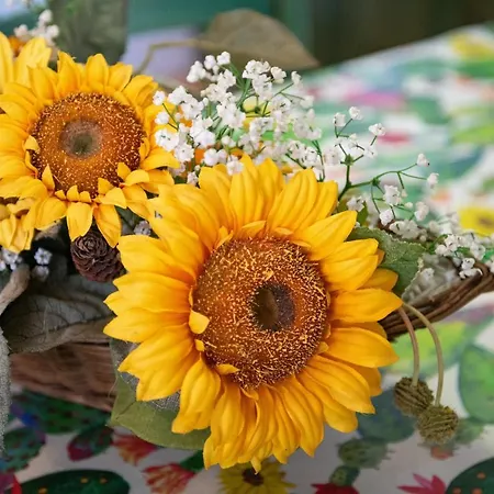 Villa Verde Castiadas Semesterbostad Castiadas